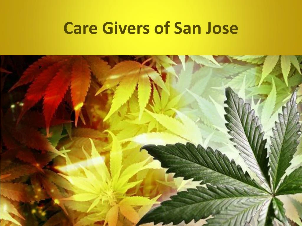 care givers of san jose
