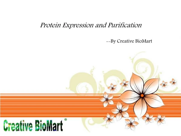 Creative BioMart protein expression service