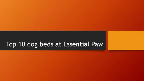 Top 10 dog beds at Essential Paw