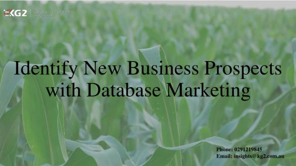 Identify New Business Prospects with Database Marketing
