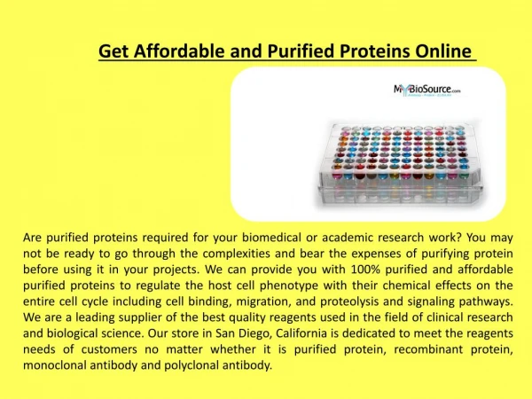 Get Affordable and Purified Proteins Online