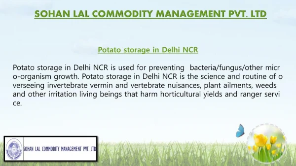 Potato Storage in Delhi NCR & Potato Storage in India