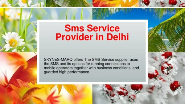 Bulk Sms Delhi, Chandigarh, India Skynes-MarQ