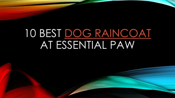 10 best dog raincoat at Essential Paw