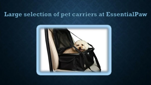 Large selection of pet carriers at EssentialPaw