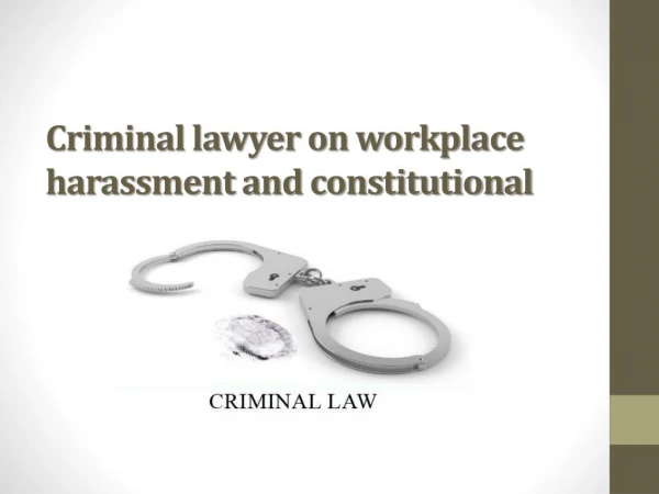 Criminal lawyer on workplace harassment and constitutional
