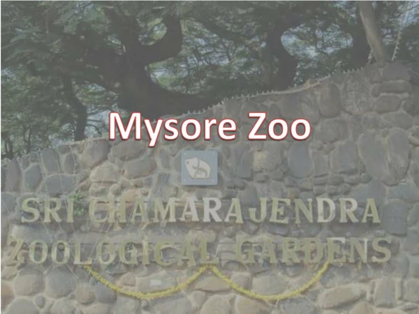 Mysore Zoo Near at Indiranagar - Get Timings, Entry Fee, Photos