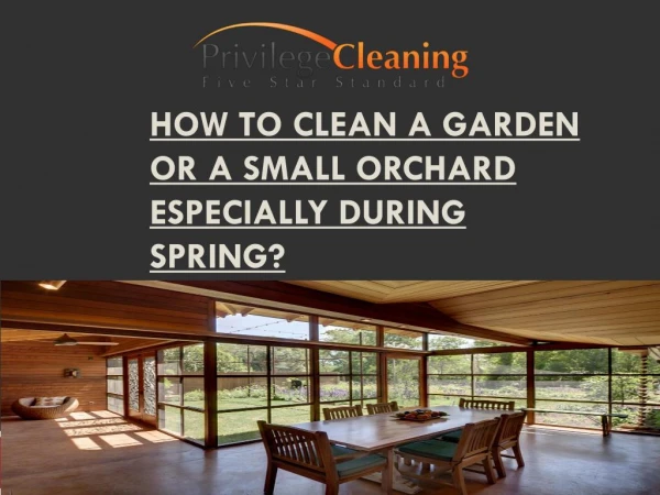 How to Clean a Garden or a Small Orchard Especially During Spring