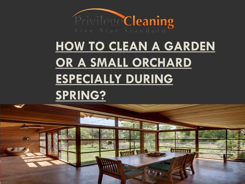 how to clean a garden or a small orchard especially during spring