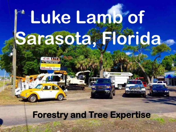 Luke Lamb of Sarasota - Florida
