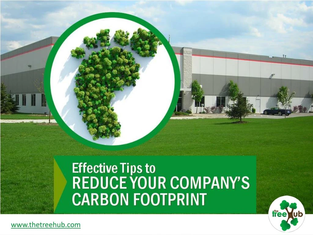 effective tips to reduce your company s carbon footprint
