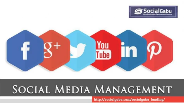 Social Media Management Solution