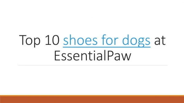 Top 10 shoes for dogs at EssentialPaw