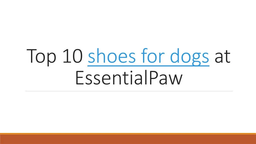 top 10 shoes for dogs at essentialpaw