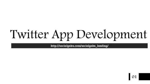 Twitter App Development