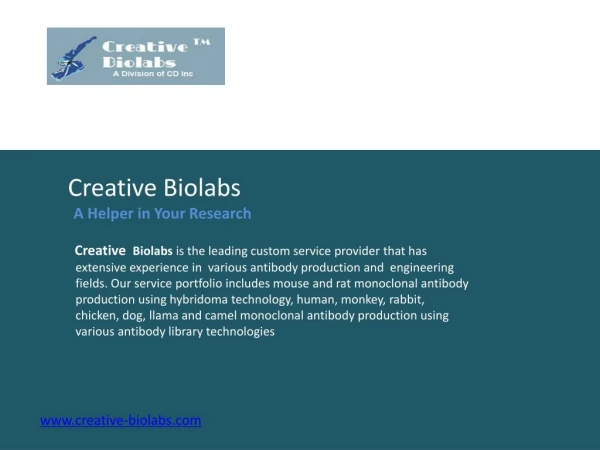 Creative Biolabs — A Global Biotech Provider from the USA