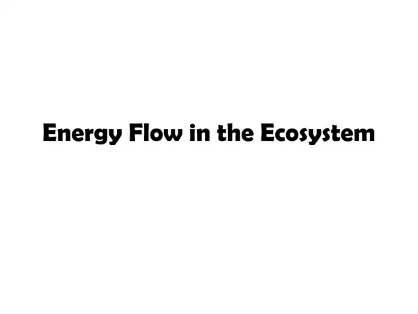 Energy Flow in the Ecosystem