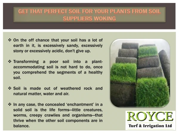 Get That Perfect Soil for Your Plants from Soil Suppliers Woking