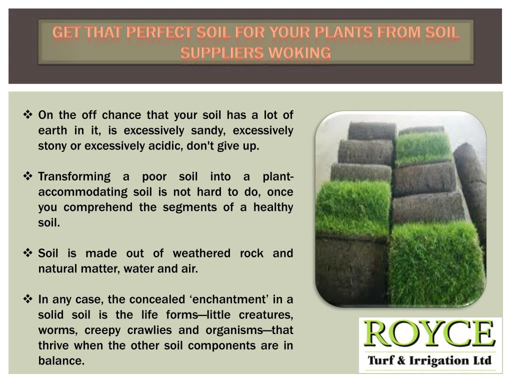 get that perfect soil for your plants from soil suppliers woking