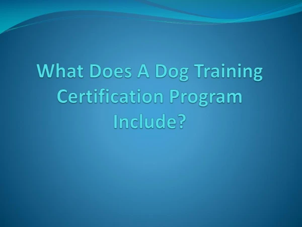 What Does A Dog Training Certification Program Include?