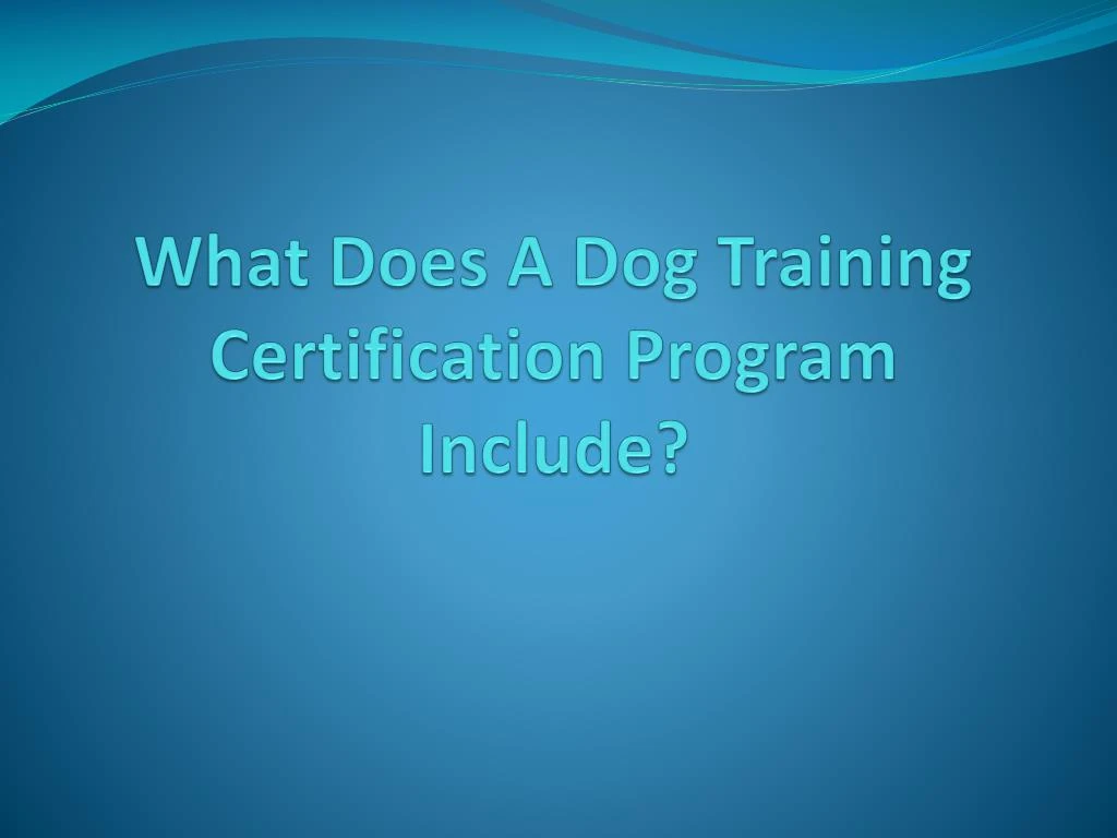 what does a dog training certification program include