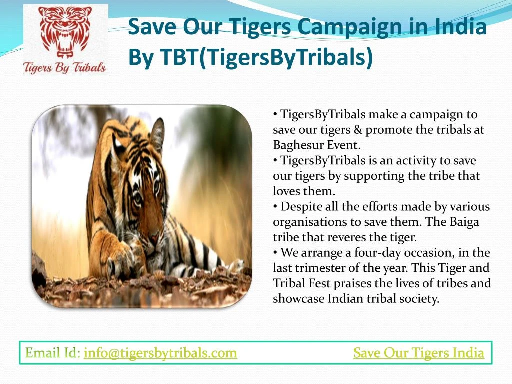 save our tigers campaign in india by tbt tigersbytribals