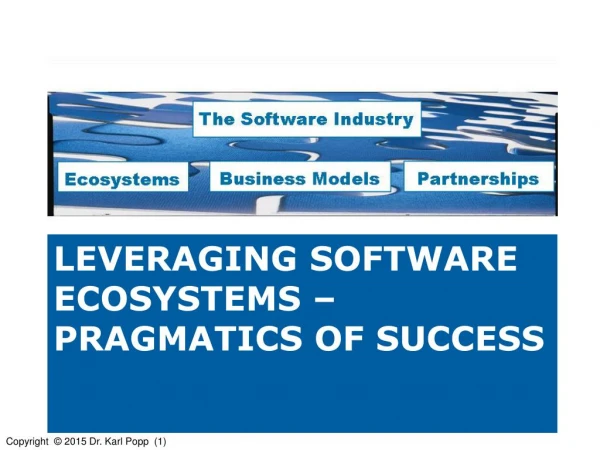 Pragmatic software ecosystem success