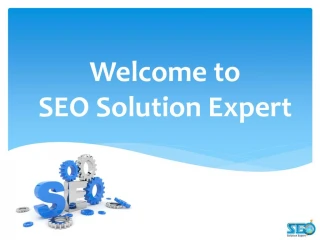 SEO Solution Expert - slide 1
