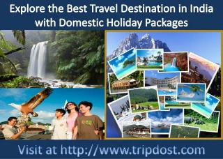 holiday-packages-domestic-tour-packages
