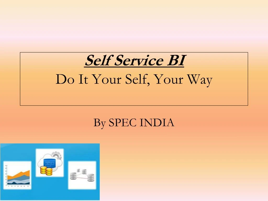 self service bi do it your self your way