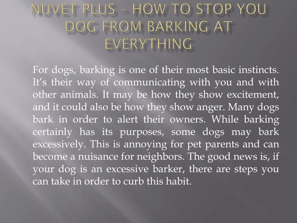 nuvet plus how to stop you dog from barking at everything
