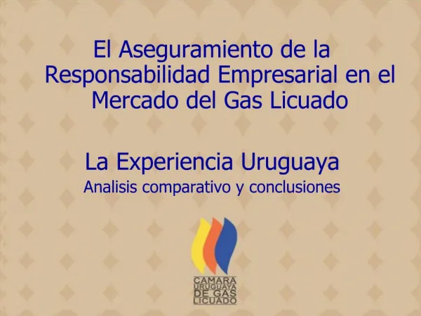 El Aseguramiento de la Responsabilidad Empresarial en el Mercado del Gas Licuado La Experiencia Uruguaya Analisis compa