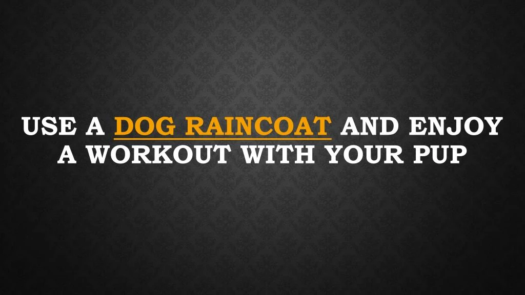 use a dog raincoat and enjoy a workout with your pup