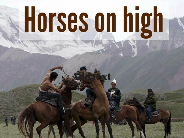 Horses on high