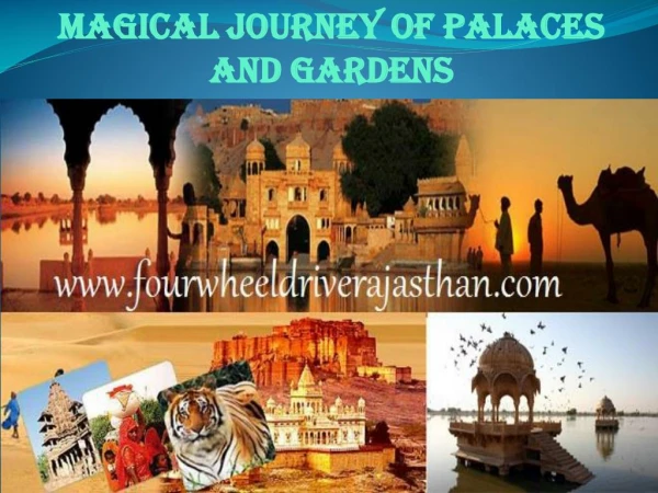 Magical Journey Of Palaces And Gardens