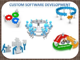 vertexplus-Custom Development Software - slide 1