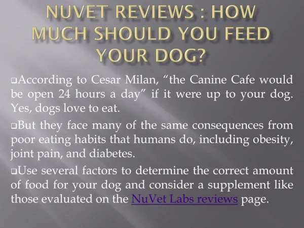 NuVet Reviews : How Much Should You Feed Your Dog?