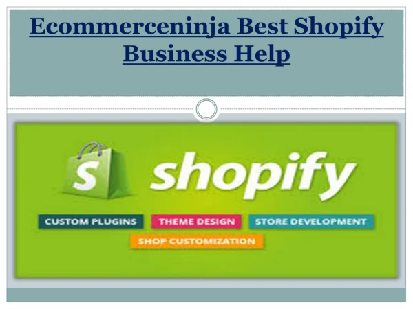 Ecommerceninja Best Shopify Business Help
