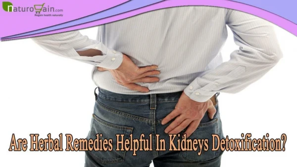 Are Herbal Remedies Helpful In Kidneys Detoxification?