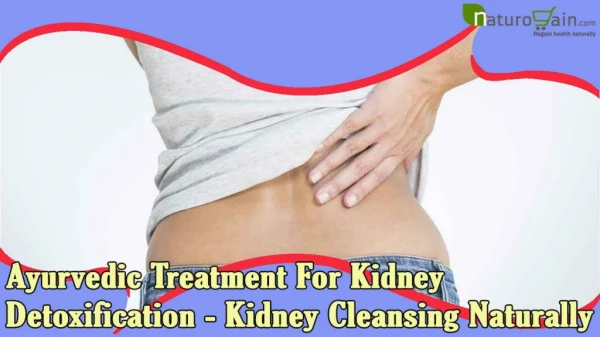 Ayurvedic Treatment For Kidney Detoxification - Kidney Cleansing Naturally