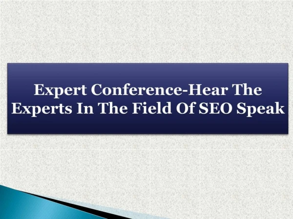 Expert Conference-Hear The Experts In The Field Of SEO Speak