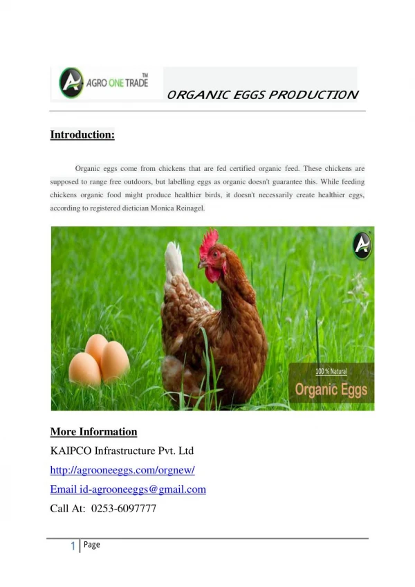 100% Natural Organic Eggs.