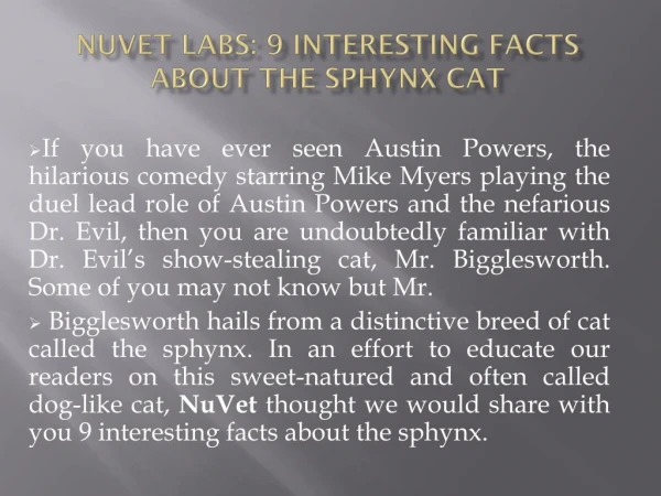 NuVet Labs: 9 Interesting Facts About the Sphynx Cat