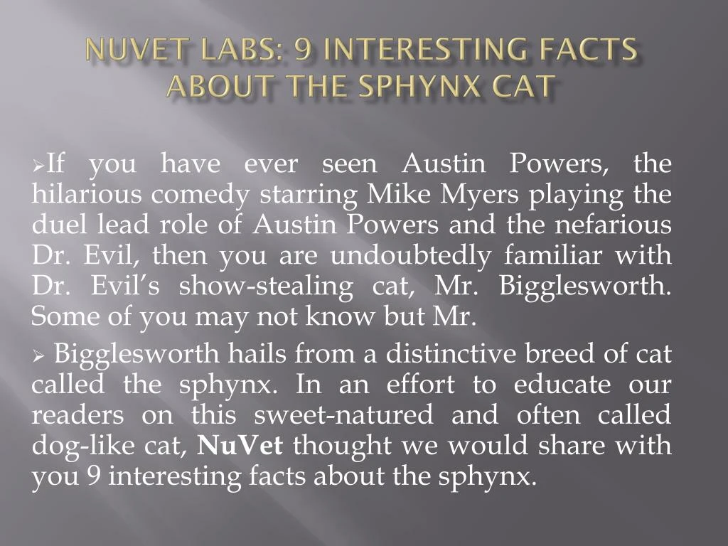 nuvet labs 9 interesting facts about the sphynx cat