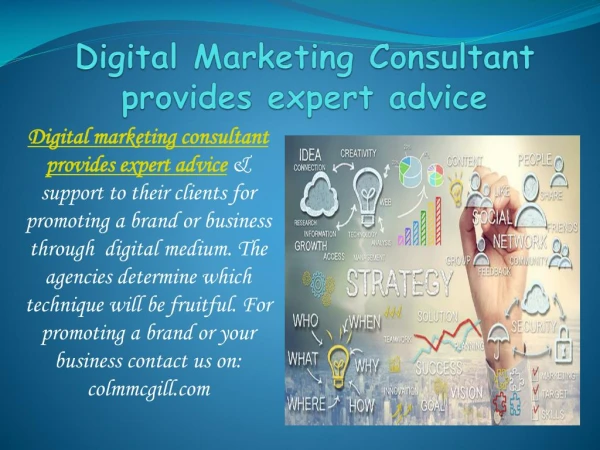 Digital Marketing Consultant provides expert advice