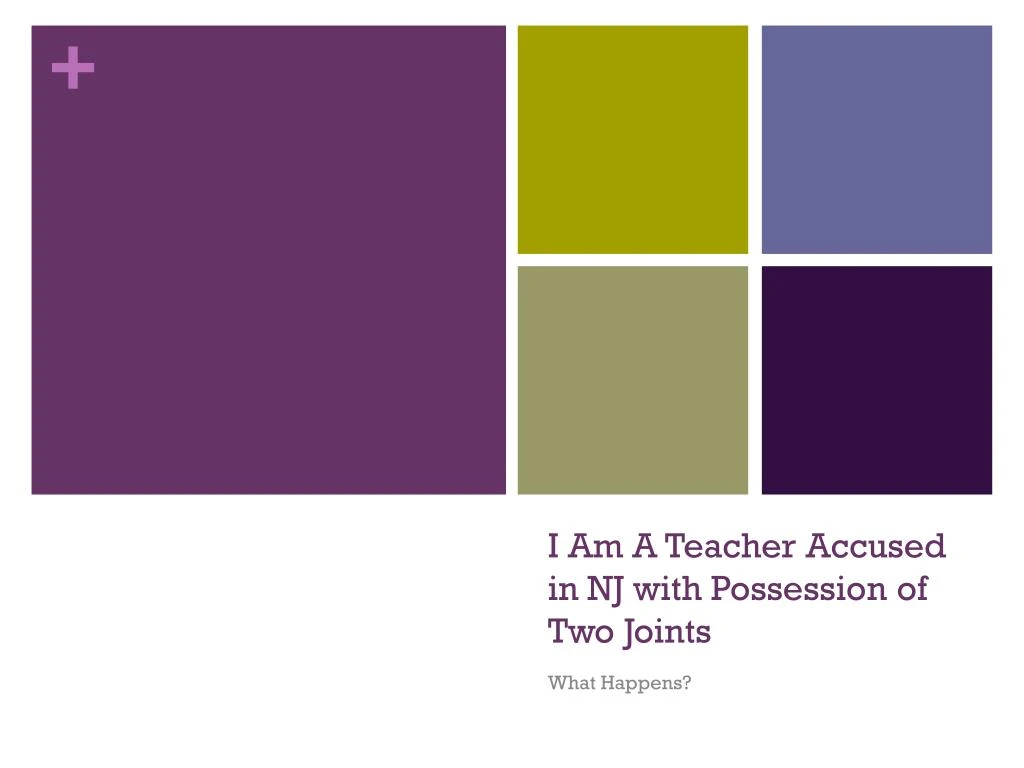 i am a teacher accused in nj with possession of two joints