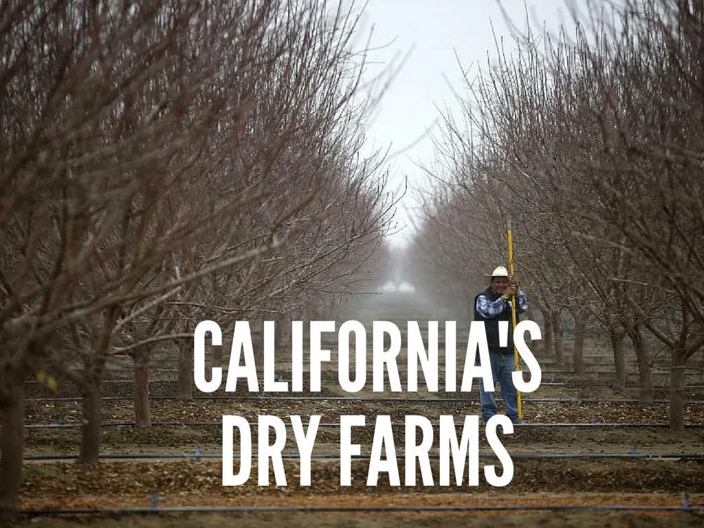 california s dry farms
