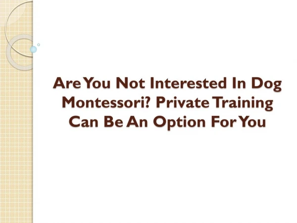 Are You Not Interested In Dog Montessori? Private Training Can Be An Option For You