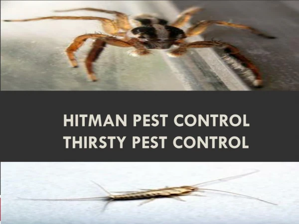 Hitman Pest Control thirsty pest control