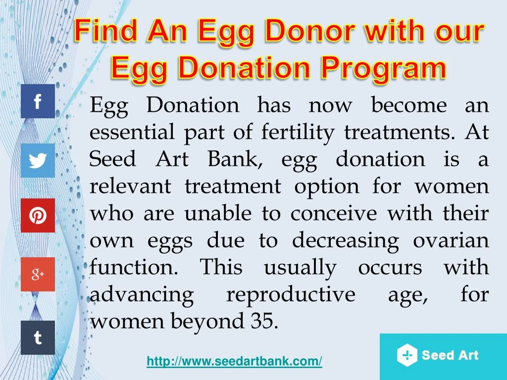 find an egg donor with our egg donation program